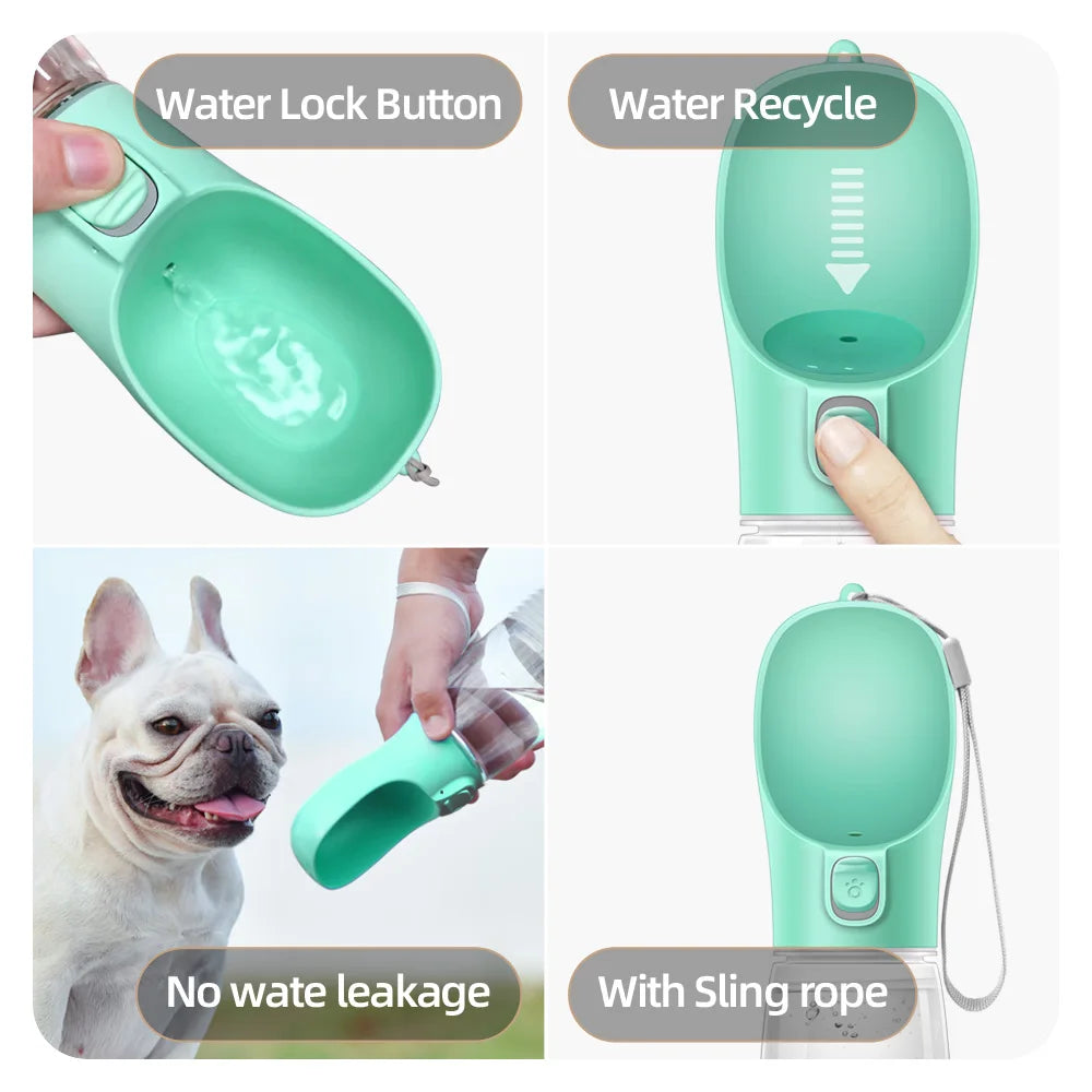 Gourde 2-en-1 Pawlm — Bouteille & Gamelle pour Balade