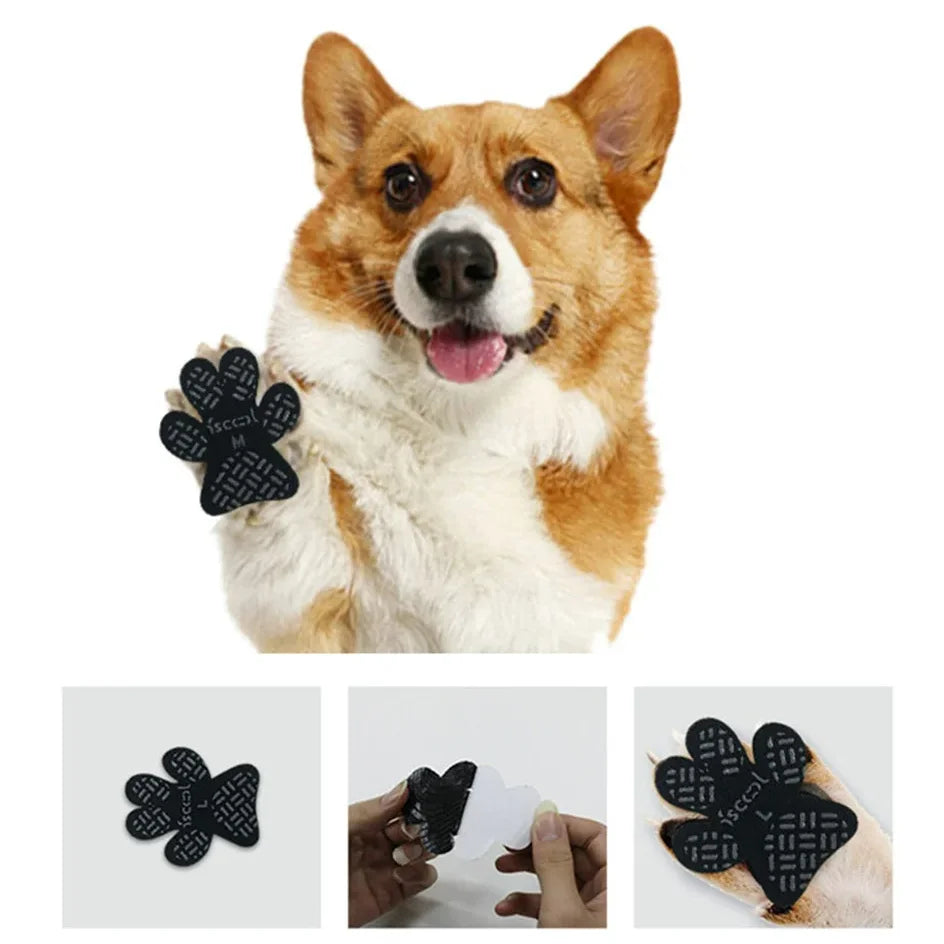 Coussinets Protecteurs Antidérapants Pawlm — Pattes de Chien