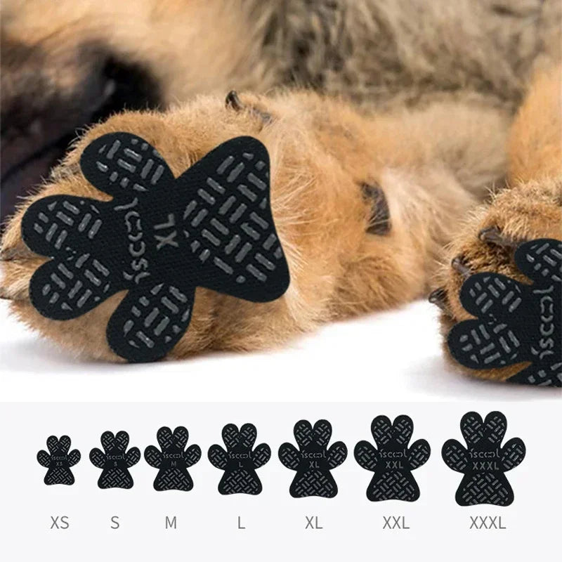 Coussinets Protecteurs Antidérapants Pawlm — Pattes de Chien
