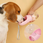 Gourde 2-en-1 Pawlm — Bouteille & Gamelle pour Balade