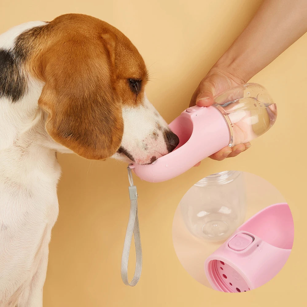Gourde 2-en-1 Pawlm — Bouteille & Gamelle pour Balade