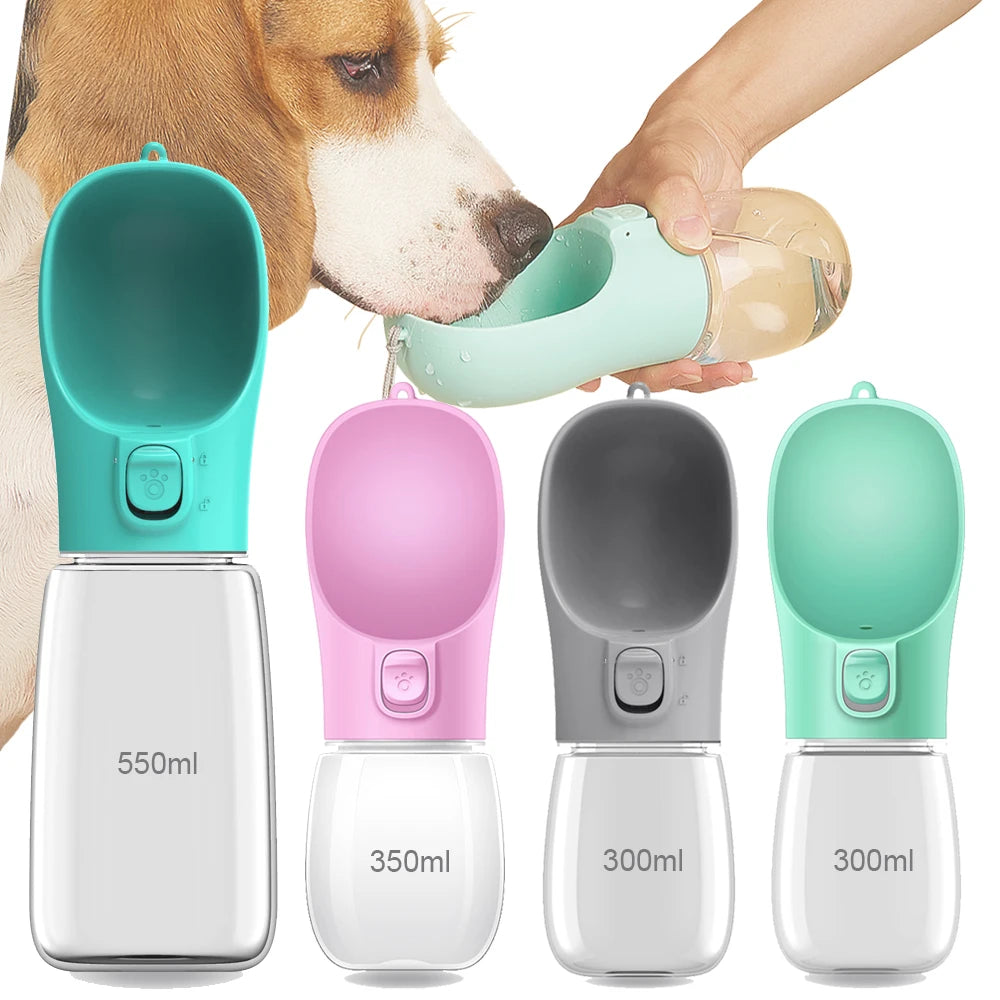 Gourde 2-en-1 Pawlm — Bouteille & Gamelle pour Balade